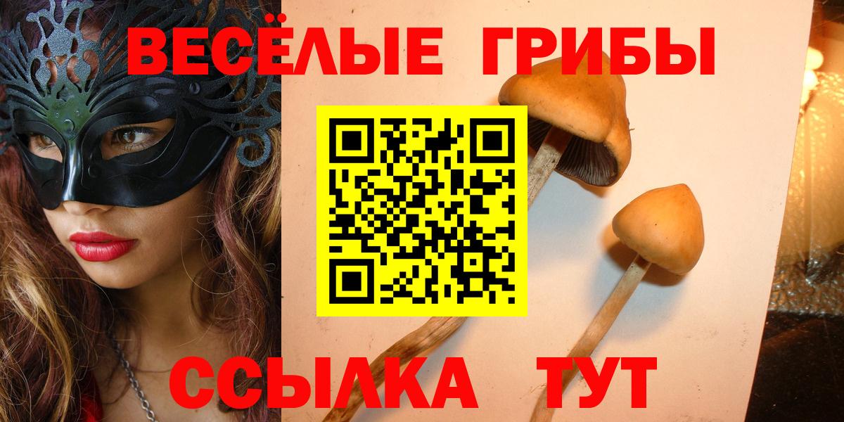 Псилоцибиновые грибы мухоморы Корсаков