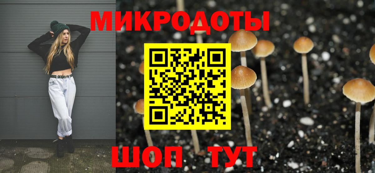Псилоцибиновые грибы мицелий  купить наркотик  Вход с VPN  Корсаков  Псилоцибиновые грибы мицелий 