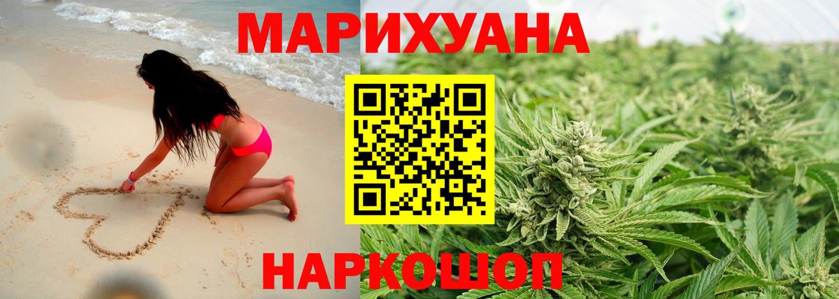 Канабис гибрид Корсаков